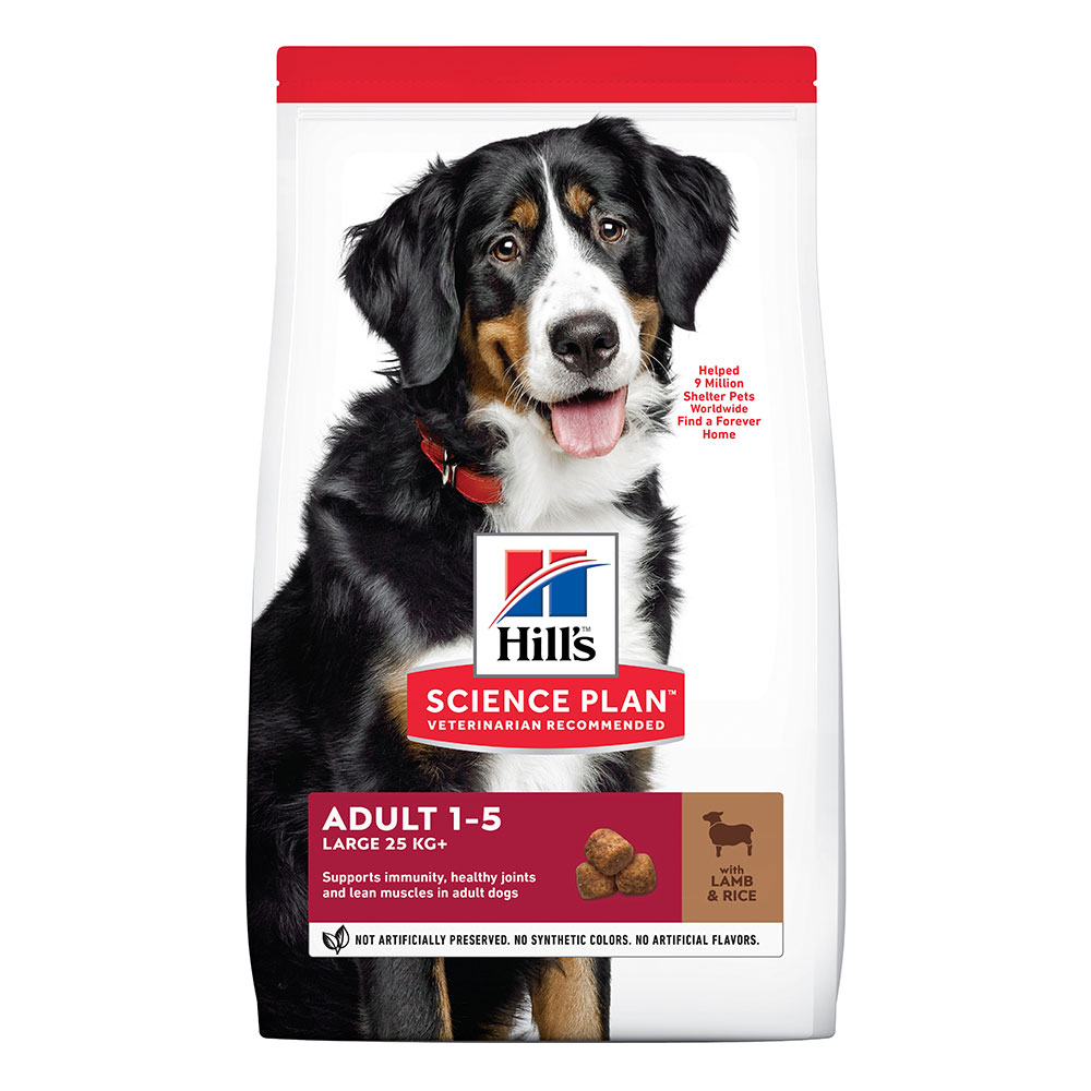 2x14kg Adult 1-5 Large agneau, riz Croquettes pour chien Hill's Science Plan